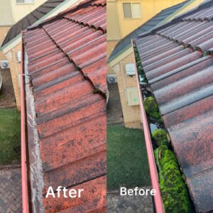 Gutter Cleaning Experts in Hills District
