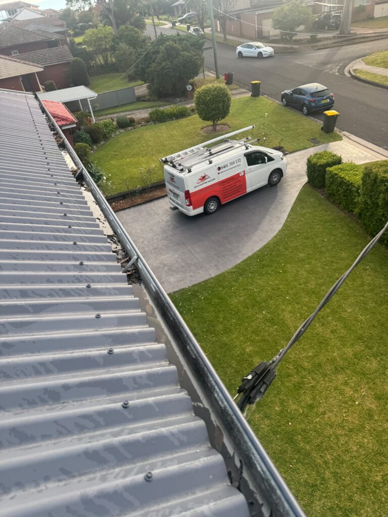 Gutter Cleaning in Hills District