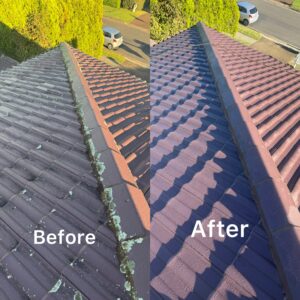 Before and after gutter cleaning work in pennant hills